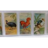 ALLEN & GINTER, Birds of the Tropics, complete, VG to EX, 50