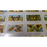 BROOKE BOND, Butterflies of The World, complete, Rhodesia, EX, 50