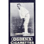 OGDENS, Tabs, English Cricketer Series, complete, Australian issue, VG to EX, 14