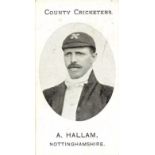 TADDY, County Cricketers, A. Hallam (Nottinghamshire), Grapnel back, VG