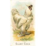 ALLEN & GINTER, Prize & Game Chickens, scuff to back, generally VG, 6
