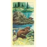 BROOKE BOND, Animals of North America, complete, Rolland (Canadian issue), EX, 48