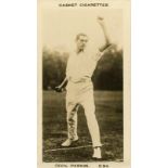 PATTREIOUEX, Famous Cricketers, C94 Parkin (Lancashire), printed back, G