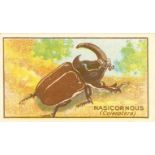 MAYNARD, Strange Insects, complete, EX, 12