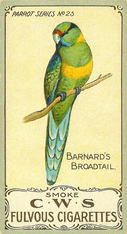 C.W.S., Parrots, No. 25, EX