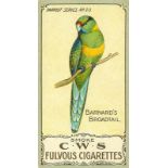 C.W.S., Parrots, No. 25, EX