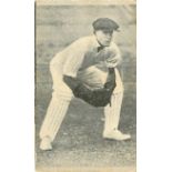 HOADLEY, Cricketers (1928), Hack (South Australia), VG