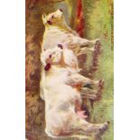 OXO, Cattle Studies, Nos. 3 Shorthorn (postcard, pu 1925) & 4 Chillingham Wild Cattle (reward card),