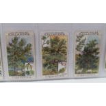 GALLAHER, part sets & odds, inc. Woodland Trees (78), Zoo Aquarium (67) etc., FR to G, 148*