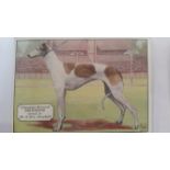 ARDATH, Champion Dogs, complete, extra-large, VG to EX, 25