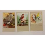 SLUIS, postcards, Birds, EX, 12