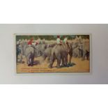 HUDDEN, Sports and Pastimes, No. 9 Elephant Hunting, EX