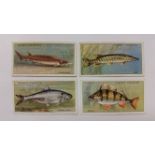 PLAYERS, Fresh-Water Fishes, complete, white backs, EX, 50