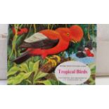 BROOKE BOND, black backs, complete (2), Tropical Birds (corner-mounted in reprinted album),