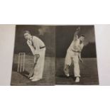 TOPICAL TIMES, Cricketers, complete, premium issues, G to VG, 8