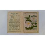 WIX J., Kensitas Flowers 2nd (31-40), Water Lily, medium, op (printed), VG
