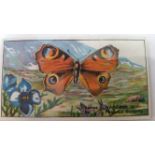 CASSELL, Butterflies & Moths, complete, medium, EX, 12