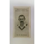 TADDY, South African Cricket Team 1906-7, Schwarz, VG
