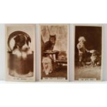 MILLHOFF, Real Photographs 1st-6th, complete, EX, 162