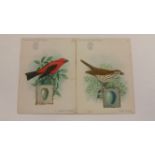 SINGER, Birds, part set, Nos. 3, 4, 6, 7, 11-16, slight staining and foxing, FR to G, 10