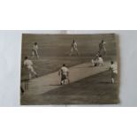 CRICKET, press photos, Australia v England, 1954/5, showing Hutton struck on the shoulder by