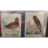 I.T.C. OF CANADA, part sets with duplication, inc. Birds of Canada, Birds, Beasts & Fishes, Game