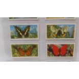 BROOKE BOND, Butterflies of the World, complete, Rhodesian, EX, 50