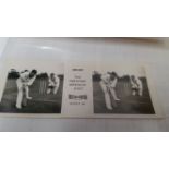 VISTASCREEN, 3-D cards, Series 68 Cricket, complete, with booklet cover & box (part missing), ow