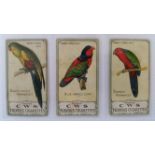 C.W.S., Parrots, Nos. 5, 10, 23, 13 & 16, corner knocks, FR to G, 5