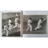 CRICKET, press photos, Australia in England, 1968, showing Sheanan st Knott b Illingworth & Fletcher