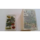 GALLAHER, Woodland Trees Series, missing No. 9, G to EX, 99