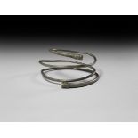 Viking Silver Beast-Headed Coiled Arm Ring