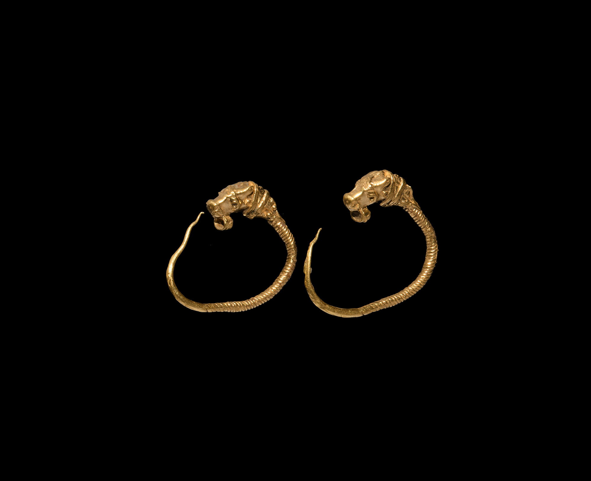 Greek Gold Lion Earring Pair