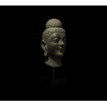 Large Gandharan Head of Buddha