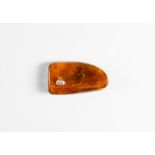 Polished Baltic Amber with Large Fly