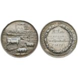 General Ag Ass of Ayrshire - 1875 - Silver Medal