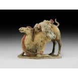 Chinese Northern Wei Figure of a Camel