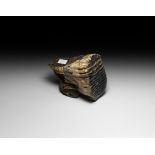 Natural History - British Woolly Mammoth Tooth