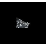 Natural History - Sericho Meteorite Polished Slice