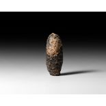 Natural History - Fossil Pine Cone