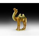 Chinese Tang Sancai-Glazed Camel Figurine