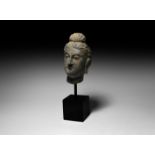 Gandharan Head of Buddha