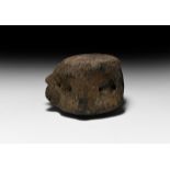 Natural History - Large British Fossil Whale Vertebra