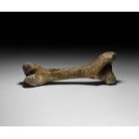 Natural History - Fossil Bison Femur