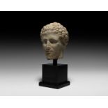 Roman Marble Head of a Man