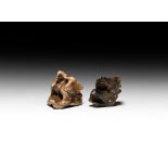 Natural History - Woolly Rhinoceros Tooth Group