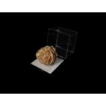 Desert Rose Mineral Display Piece