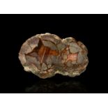 Australian Agate Creek Cut Polished 'Thunder Egg' Display