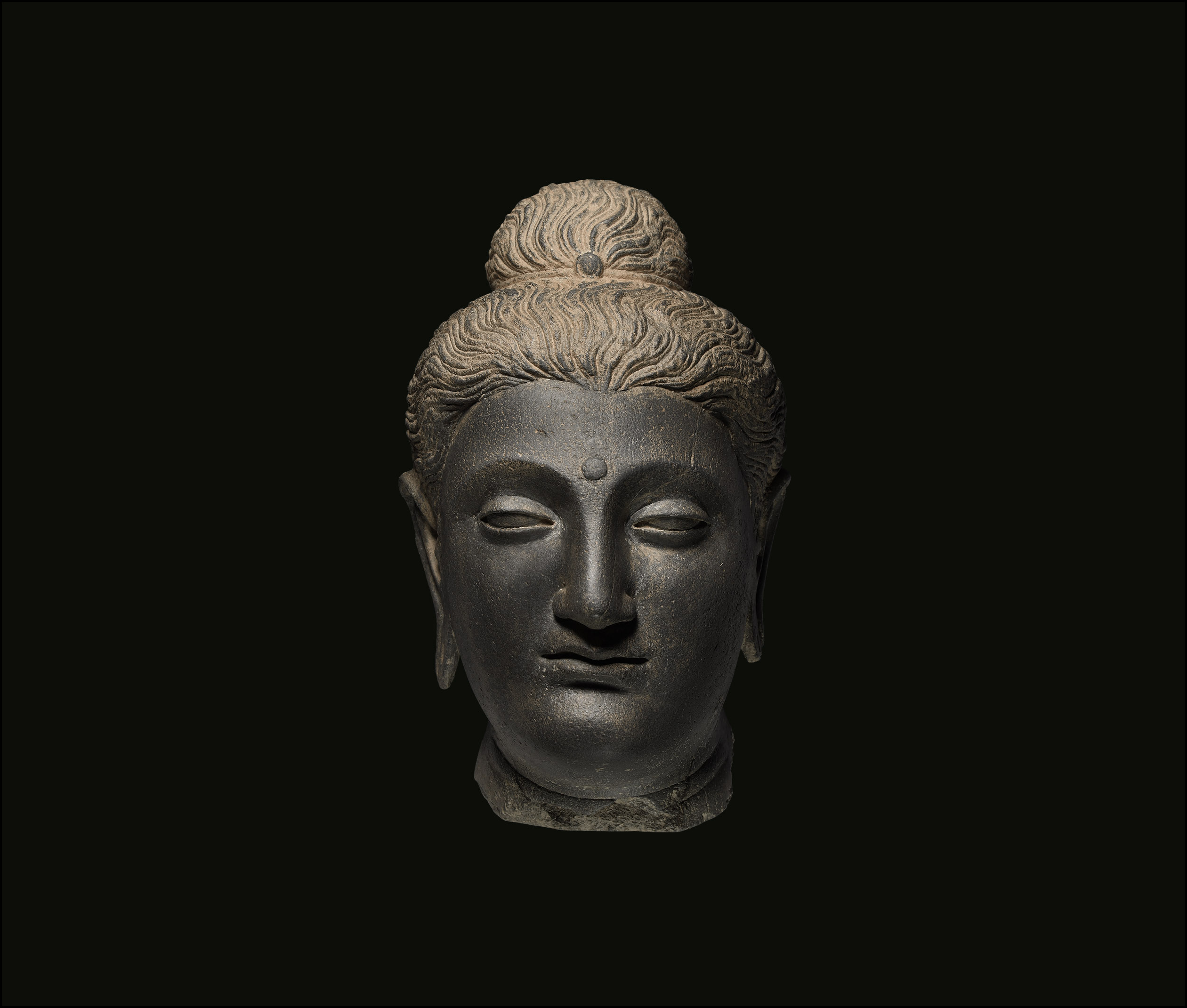 Gandharan Head of Buddha