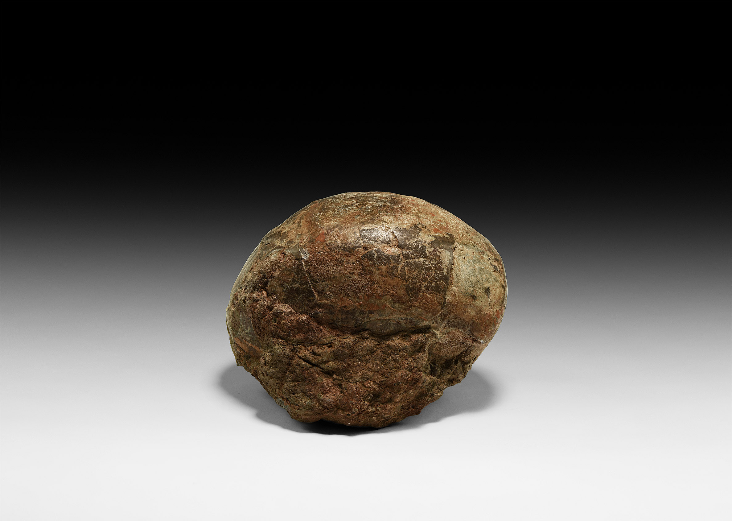 Natural History - Fossil Hadrosaur Dinosaur Egg